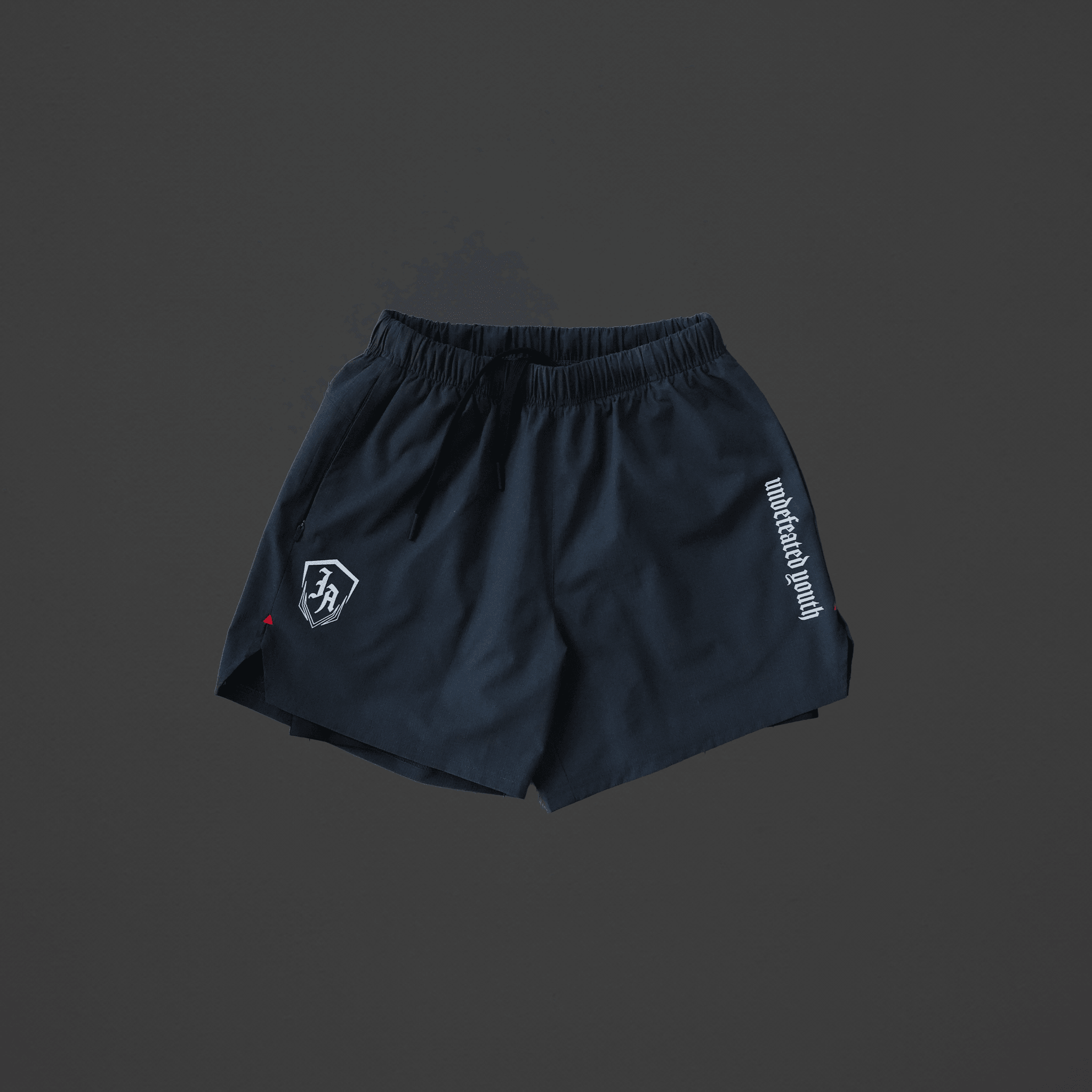 MOMENTUM LINED SHORTS GRAPHITE-Invicoros