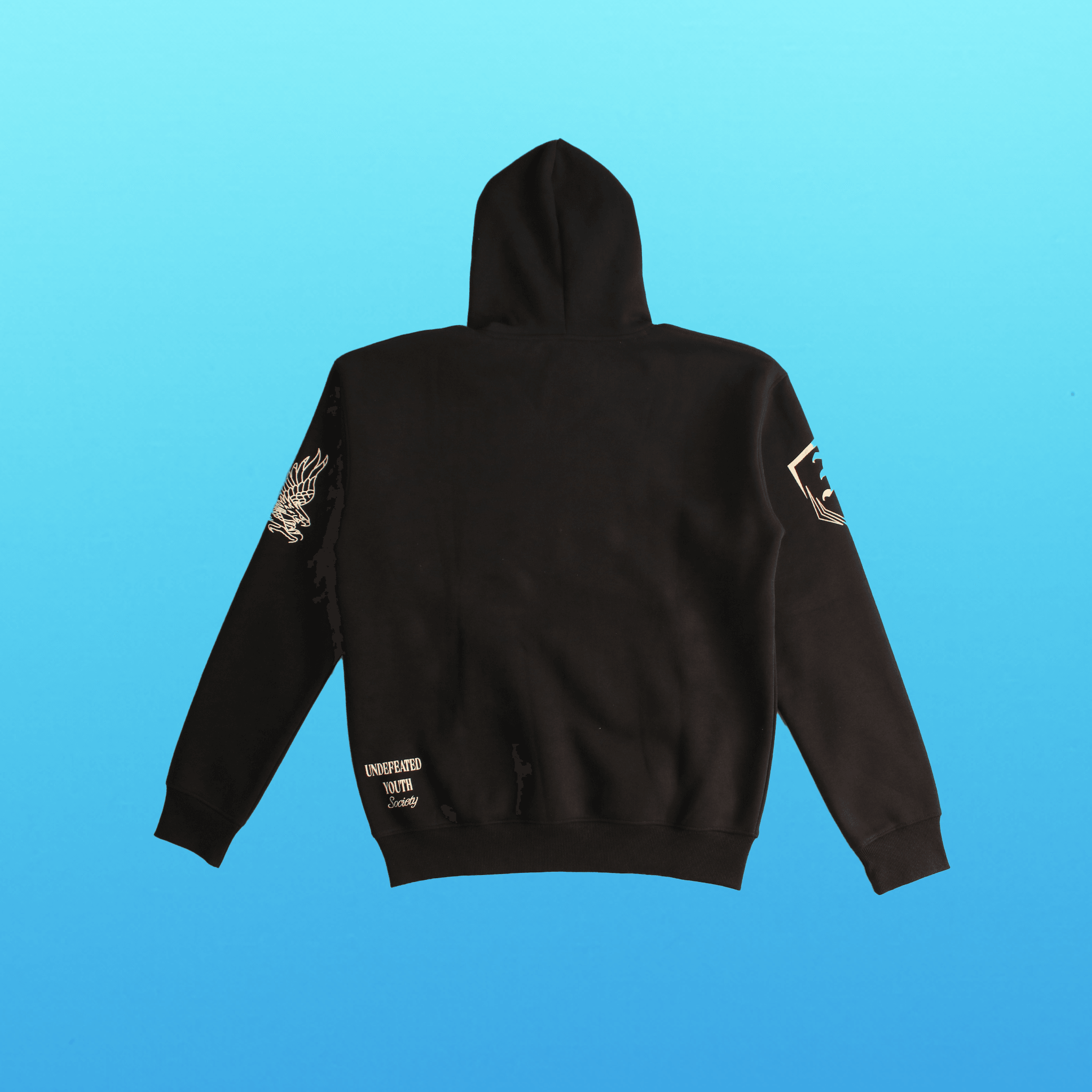 ASCEND HOODIE - BLACK-Invicoros A